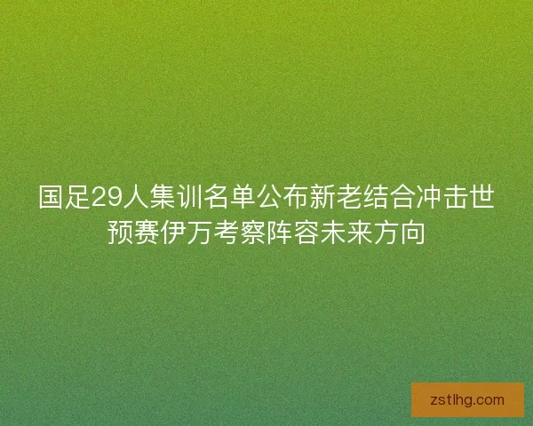 国足29人集训名单公布新老结合冲击世预赛伊万考察阵容未来方向 国足29人集训名单公布新老结合冲击世预赛伊万考察阵容未来方向