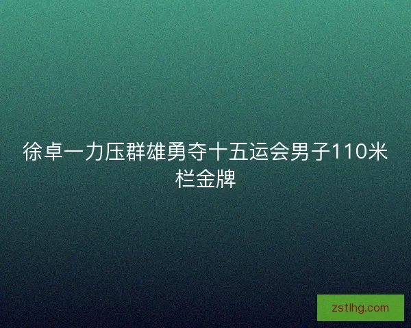 徐卓一力压群雄勇夺十五运会男子110米栏金牌