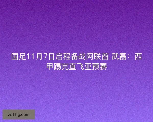 国足11月7日启程备战阿联酋 武磊：西甲踢完直飞亚预赛